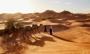 Dubai Red Dune Desert Safari